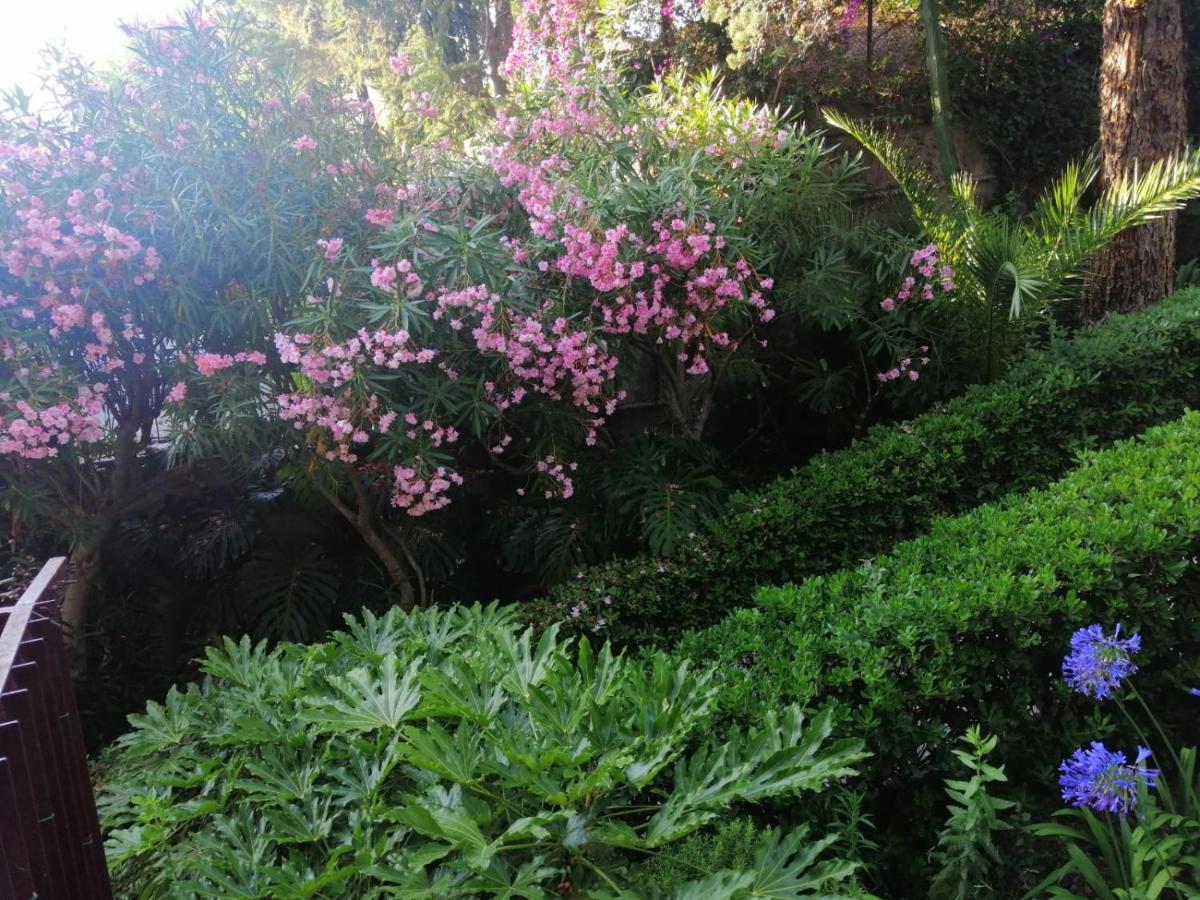 Il Gioiello Nel Parco - Sanremo Apartments Esterno foto